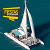 fiestas en catamaran valencia